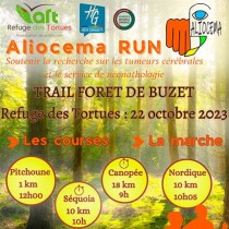 Aliocema Run 2024