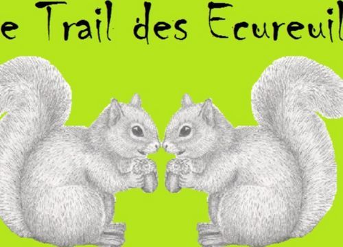 Trail des Écureuils